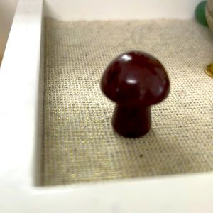 Brown agate mushroom